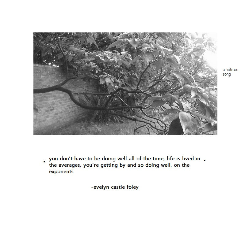 A Note on Song - digital art print by Evelyn Castle Foley