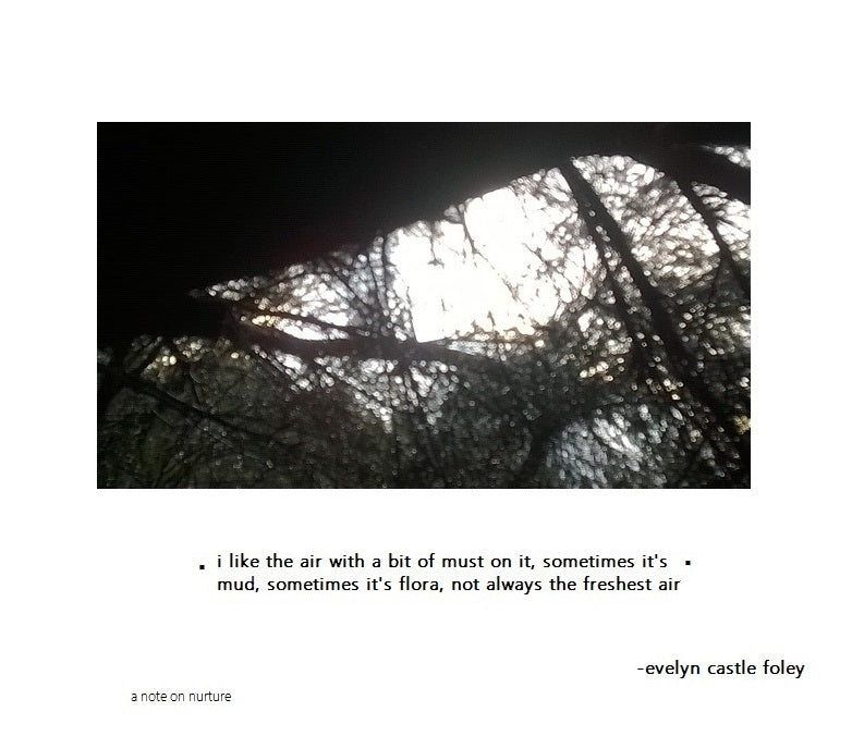 A Note on Nurture - Digital Art Print